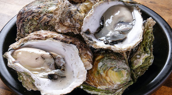一年中味わえる「牡蠣」は必食！お酒が進む逸品が勢揃い